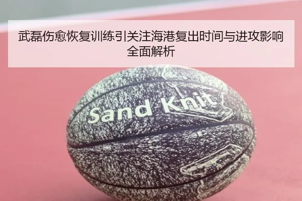 武磊伤愈恢复训练引关注海港复出时间与进攻影响全面解析